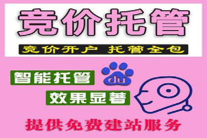 某科技公司SEM策略调整，实现业务快速增长
